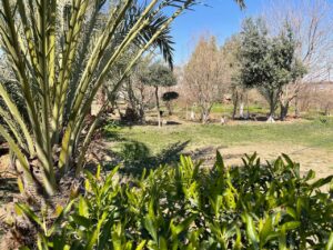 اذربان بعد التحرير (تصوير عديلة شاهين)