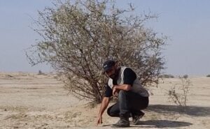 مع إحدى كراته وقد تحولت غلى شجيرة